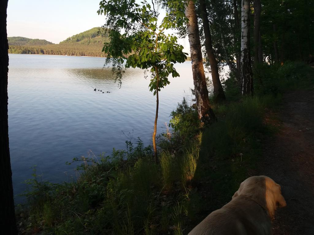 Penzion Diana Machovo Jezero Staré Splavy Zewnętrze zdjęcie